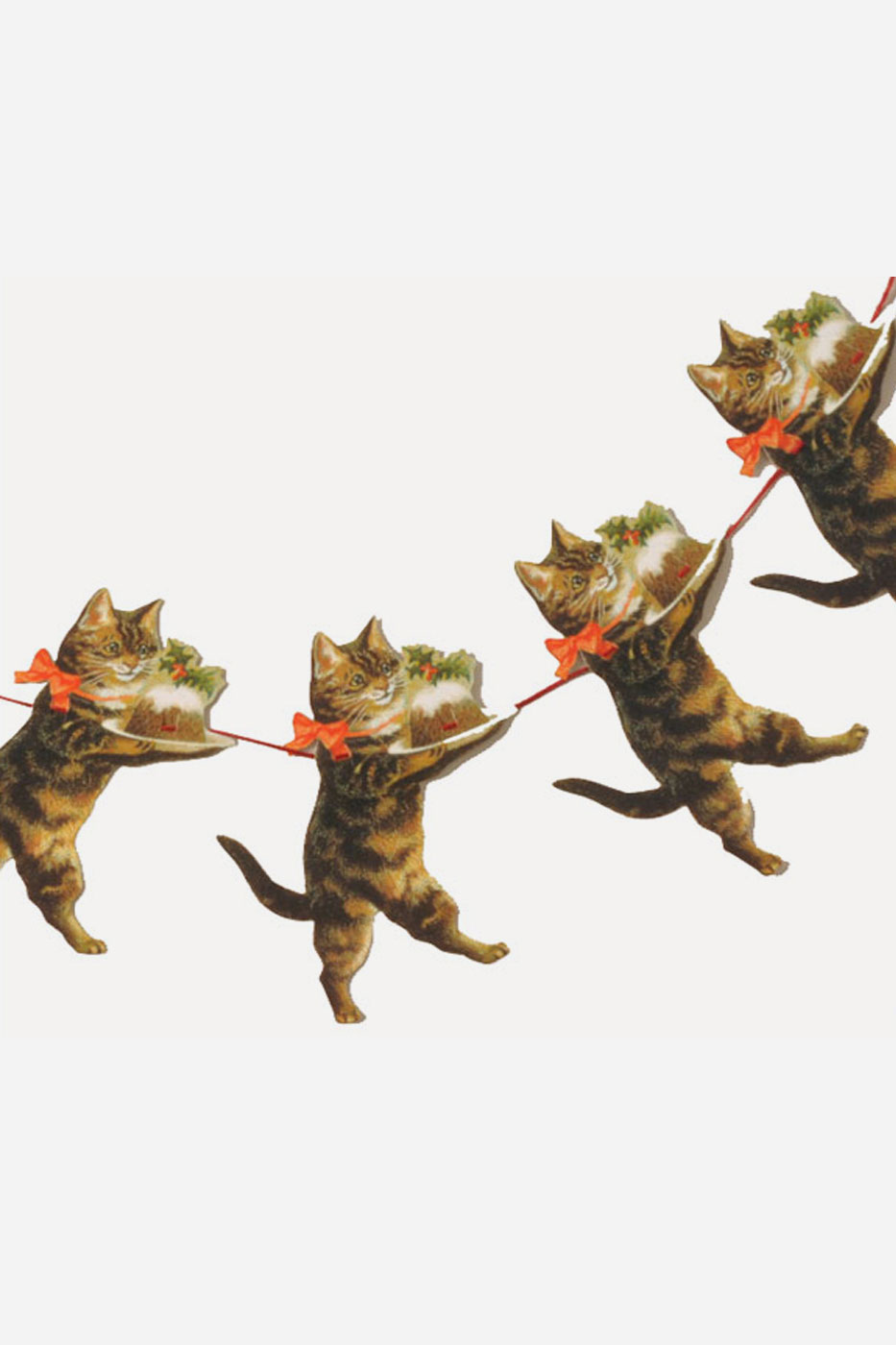 Girlang Katt 3 m