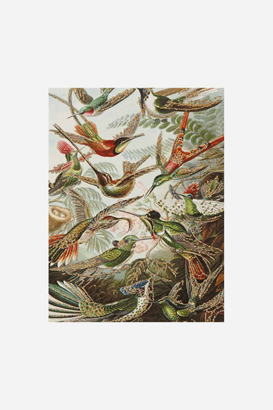 Gratulationskort retro birds