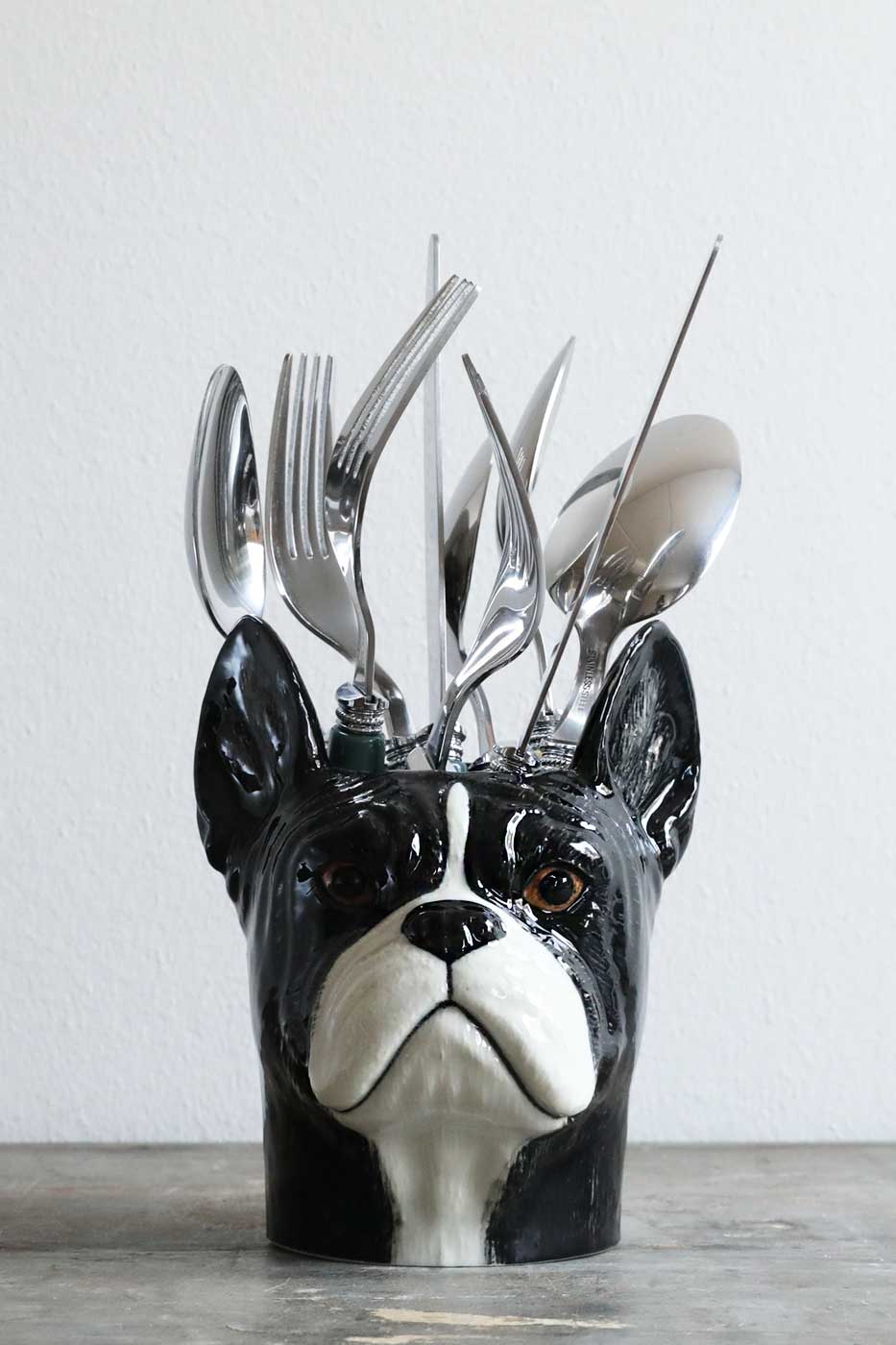 Burk French Bulldog svart vit