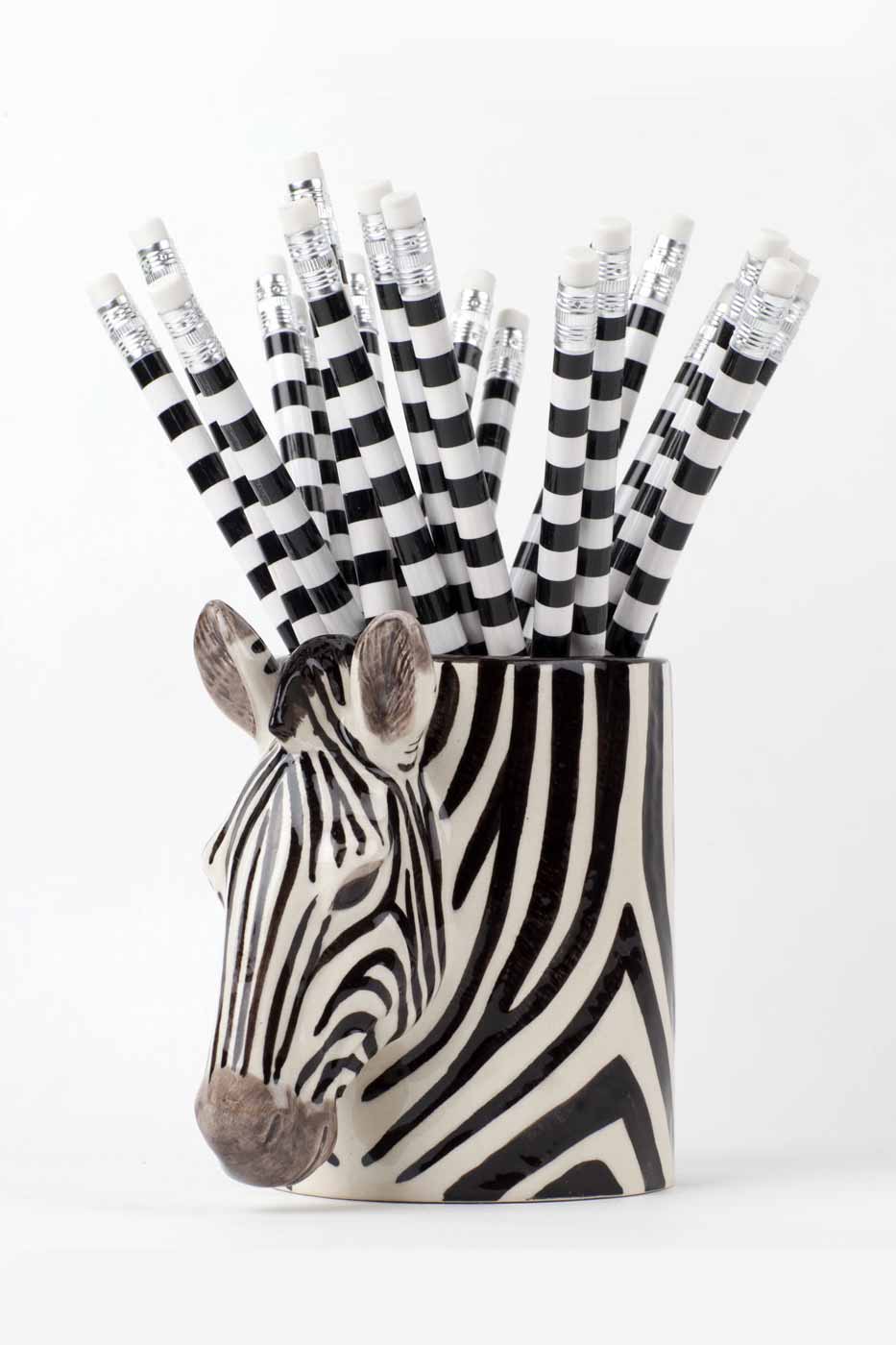 Burk Zebra