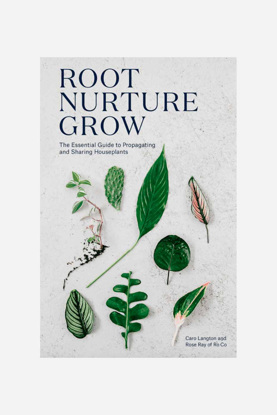 Bok Root, Nurture, Grow