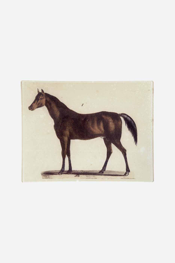 Fat Horse 20x27 cm