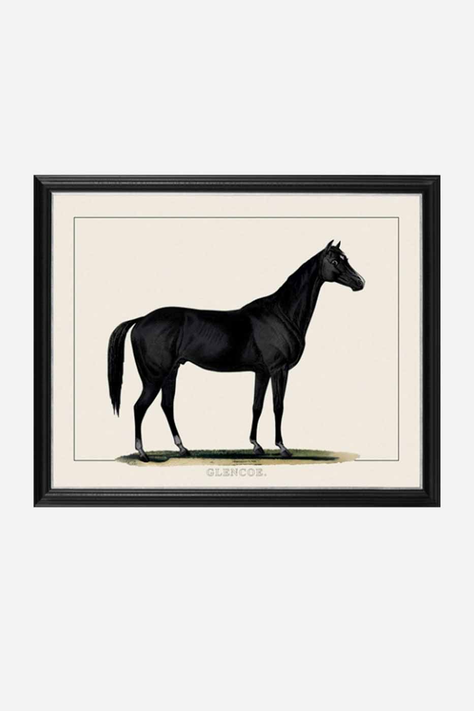 Tavla Black Horse