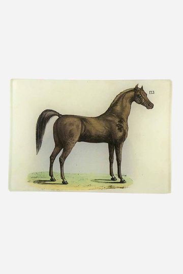 Fat Horse 11x16cm