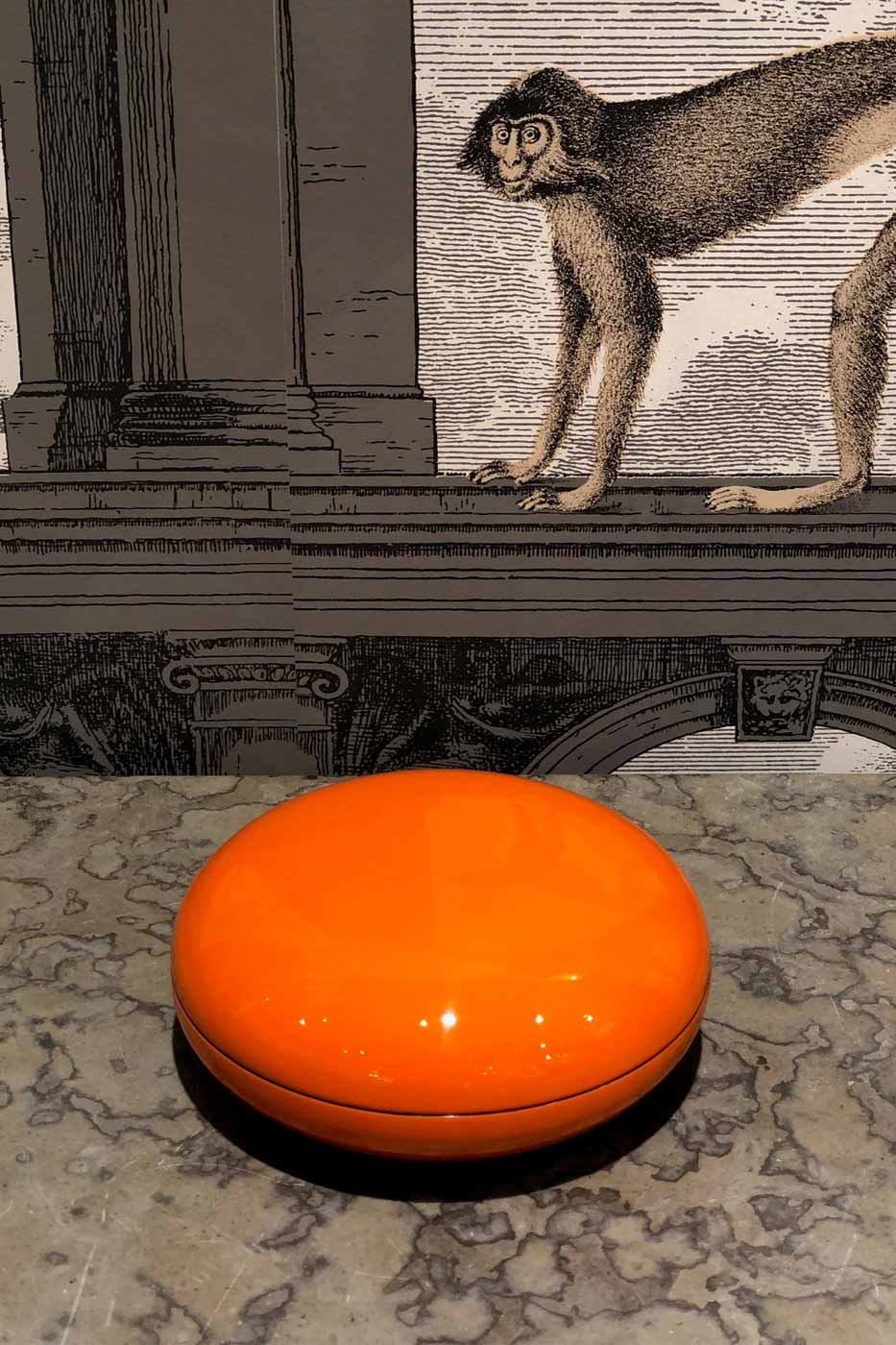 Ask Non stop orange