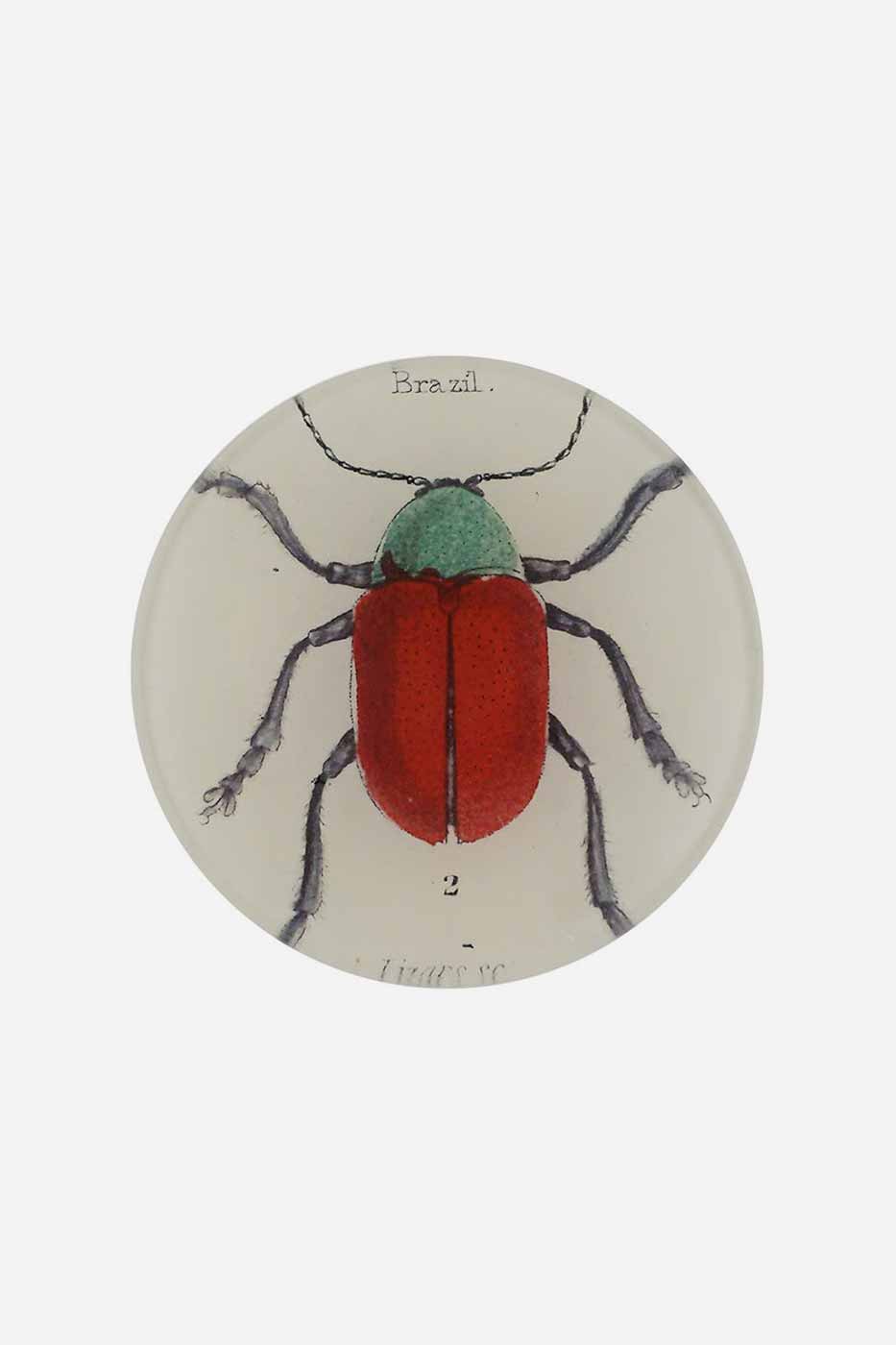 Fat Brazil Bug 10cm
