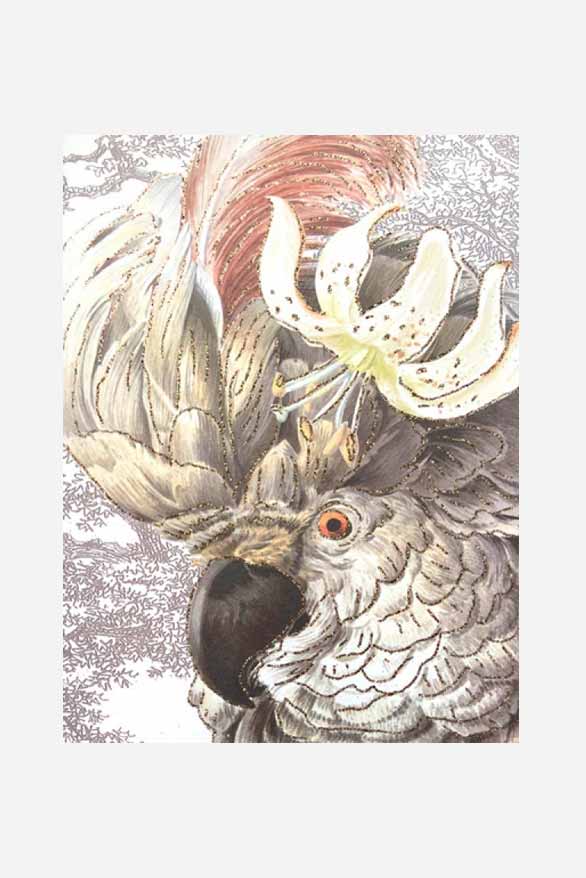 Gratulationskort White parrot A5