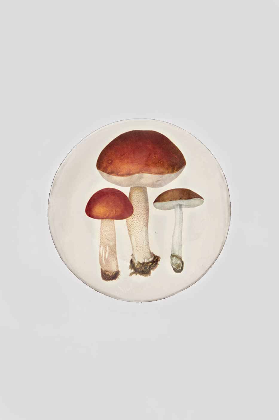 Tallrik Karl-Johan 26,5cm