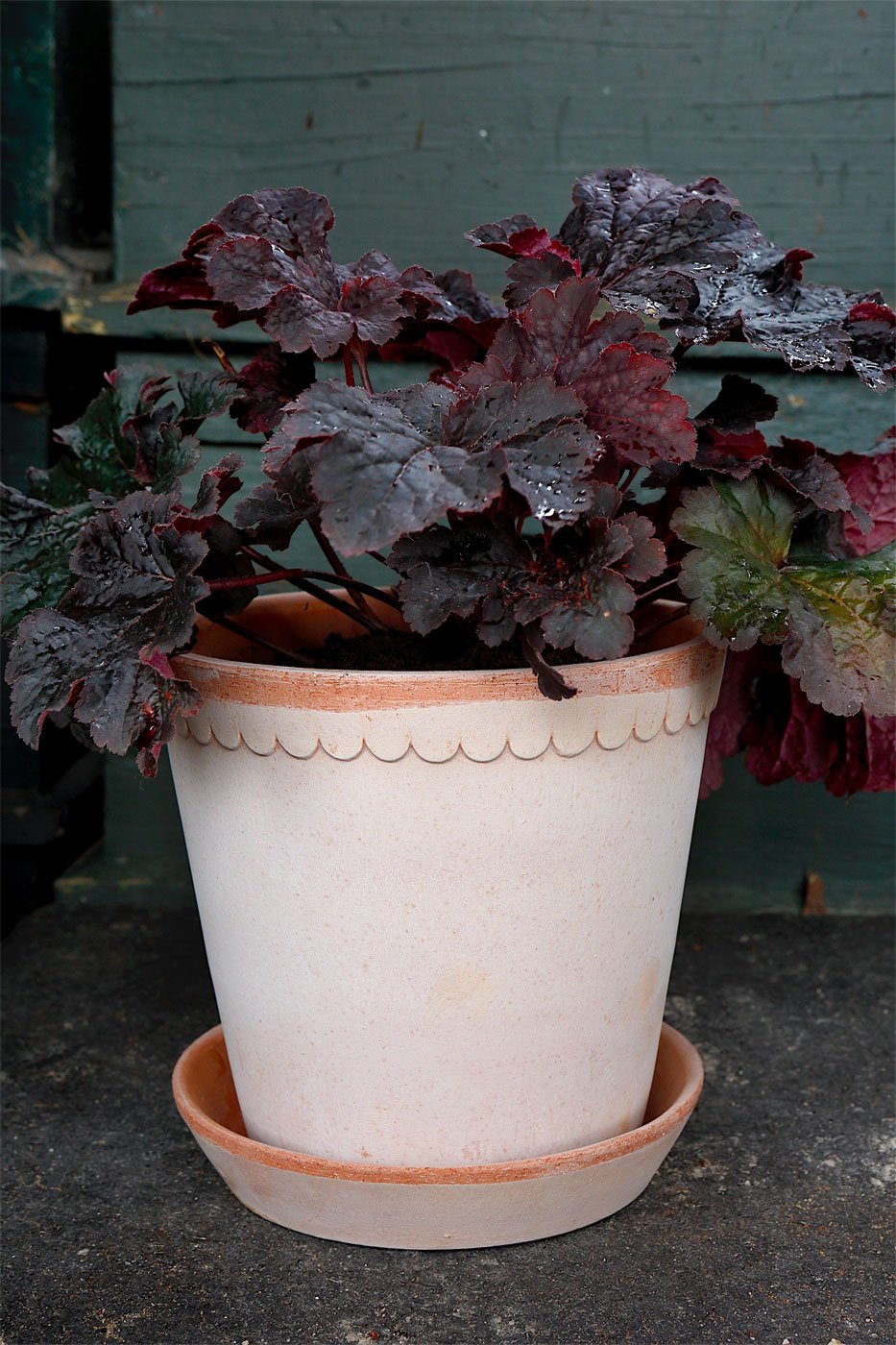 Kruka Helena 14 cm ljusrosa inkl.fat