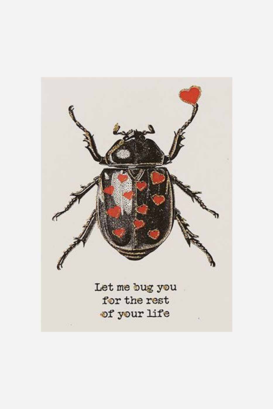 Gratulationskort Let Me Bug You