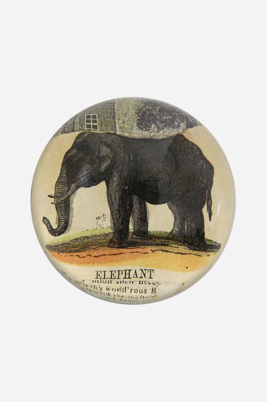 Brevtyngd Elephant Collage 9cm
