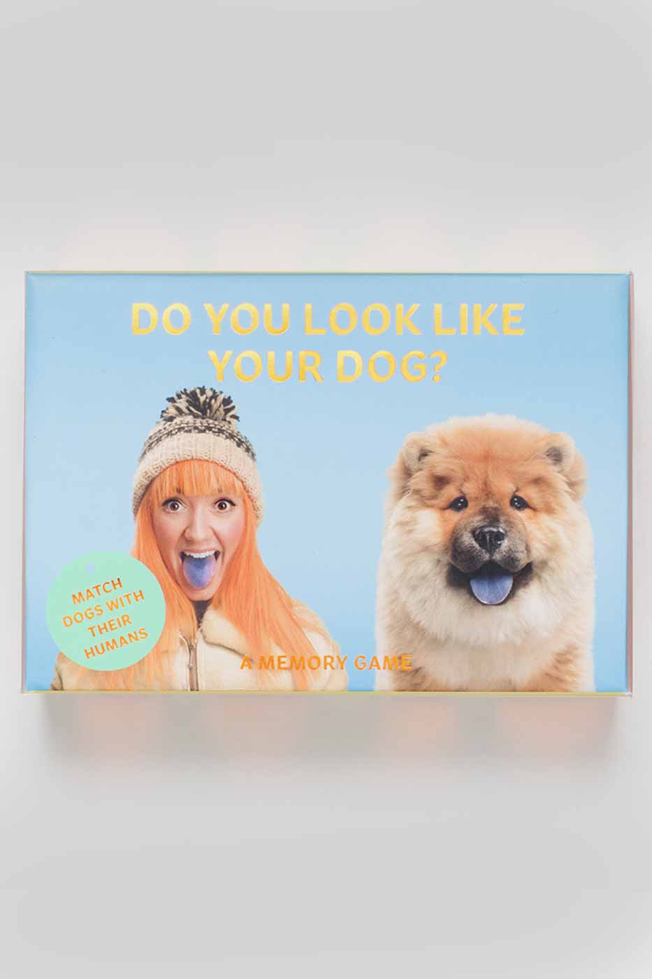 Spel Do you look like your dog