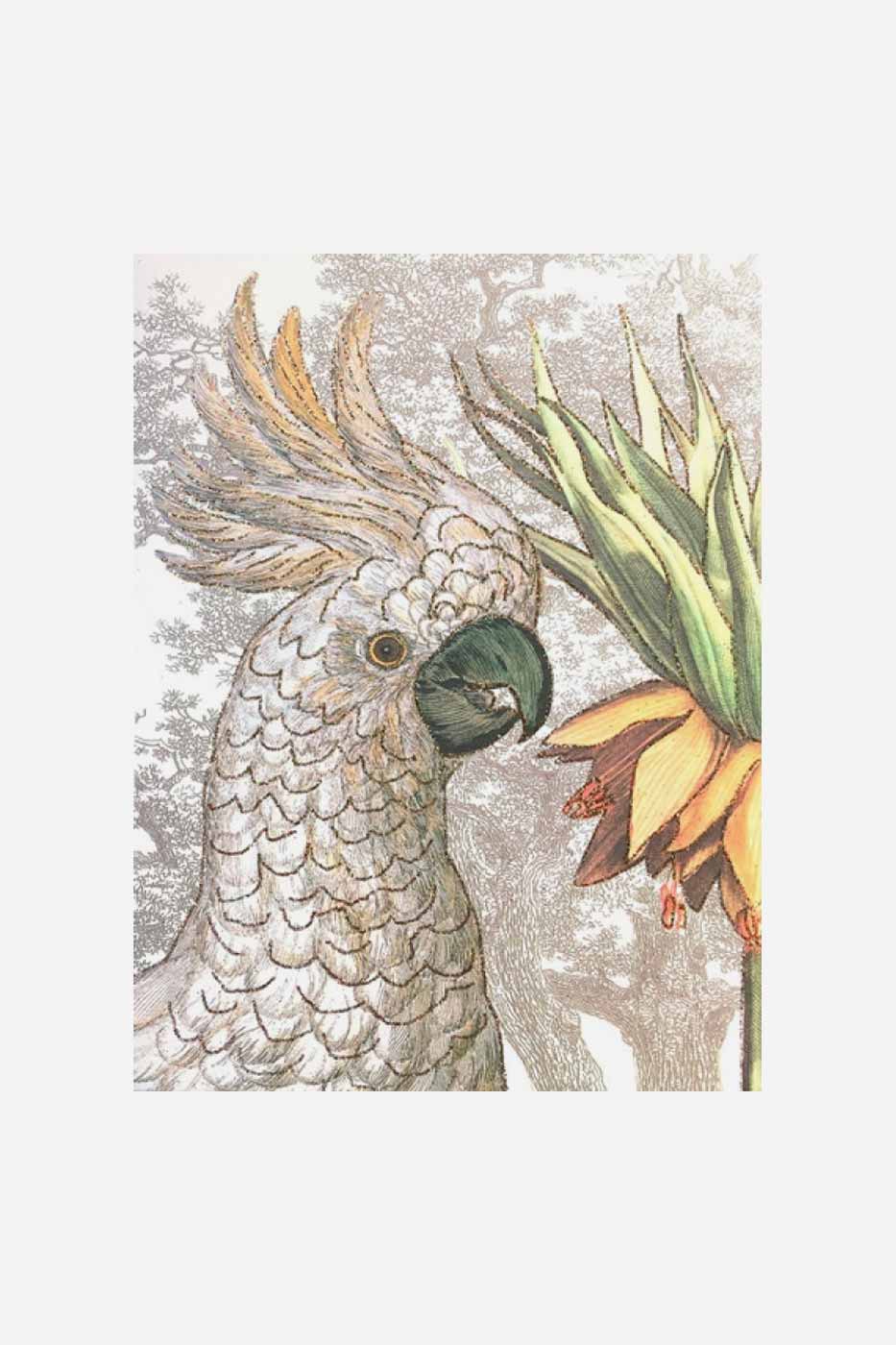 Gratulationskort Parrot A5